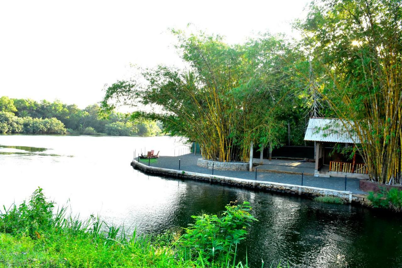 Pelican Lake Udawalawe Esterno foto